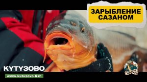 Зарыбление диким САЗАНОМ!