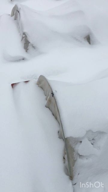 Спасаем чеснок 2. Урок природы огороднику