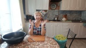 Убрала чеснок, заготавливаю фасоль .