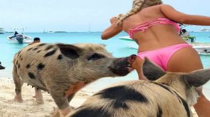 Я РЖАЛ ДО СЛЕЗ 😂 5 Минут ОТБОРНЫХ Русских приколов 2024 Смешные видео - Лучшие ПРИКОЛЫ