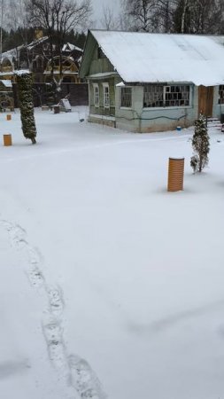 Растите газон правильно !