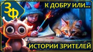 233 Кто мы и что здесь вообще происходит? | Истории Наших Зрителей