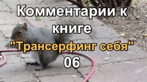 Комментарии к книге "Трансерфинг себя" 06