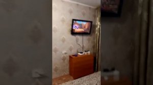 смотрю люсика