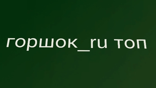 обзор на обзор подписчика про Маша мышь 🐁 смотреть онлайн