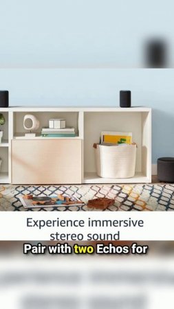 Echo Sub - Powerful subwoofer for your Echo - requires compatible Echo device