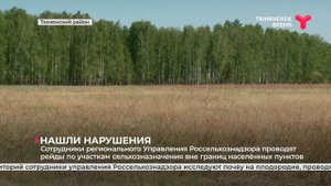 Штрафы за сорняки и мусор на участке