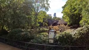 Зоопарк в Берлине пингвины обзор экскурсия пеший тур путешествия туризм отдых