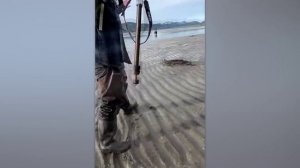 10 Самых везучих людей, Снятых на камеру
