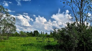 На природе - 11 (слайд-шоу из моих фотографий)