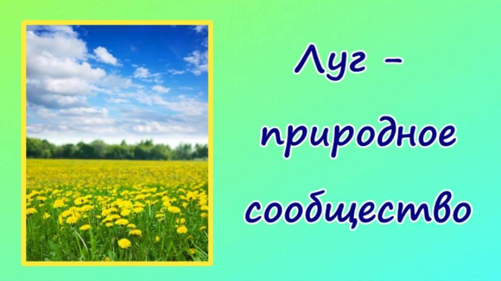Окружающий мир Луг - природное сообщество. Видеоурок. смотреть онлайн