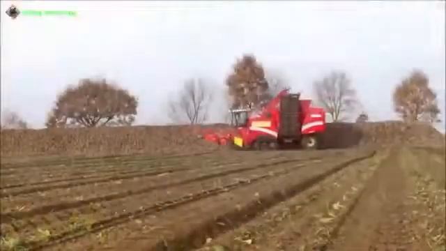 Уборка урожая свеклы свеклоуборочным комбайном GRIMME. смотреть онлайн