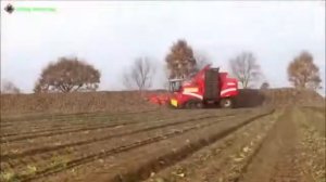 Уборка урожая свеклы свеклоуборочным комбайном GRIMME.