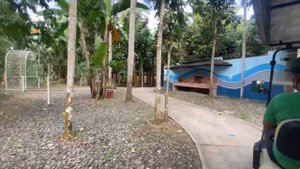 Green nature resort