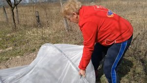 Устанавливаем парник под рассаду капусты. Как установить 6-ти метровый парник быстро и надёжно.