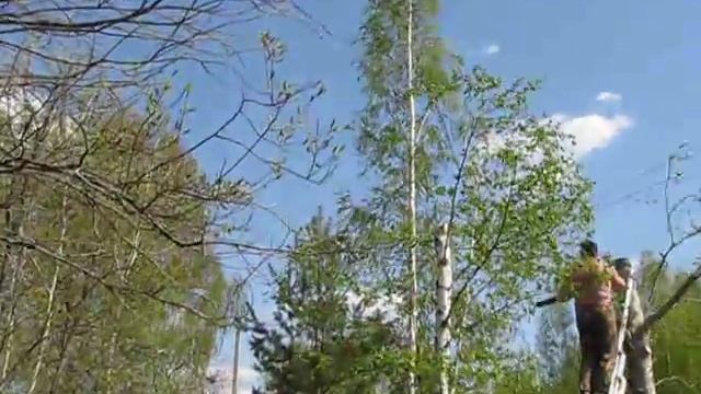 Опилка дерева еще ниже смотреть онлайн