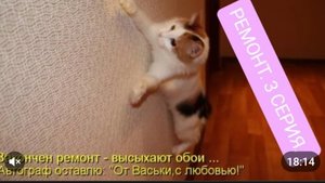 ОВСЯНОБЛИН ИЗ ОВСЯНЫХ ОТРУБЕЙ🍪РЕМОНТ ПРОДОЛЖАЕТСЯ🔨🪓⛏️