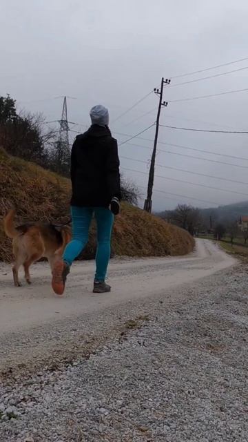 Origin of Dogs 🐕 ❤️ смотреть онлайн