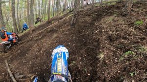 Самая легкая гонка весна 2024