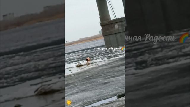 Купальный сезон. Саратов 3 апреля.