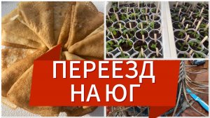 489ч🏡24.02.25-Утепление веранды//Блины//Пикировка//Новое кашпо