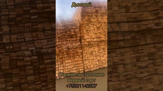 Свежее поступление смотреть онлайн