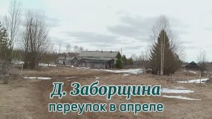 Деревня Заборщина, переулок в апреле.mp4