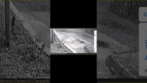 заливка цемента перед порогом