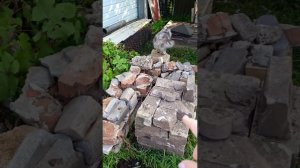 Дождь изменил планы. Опять получилось видео о птичке моего хозяйства).