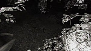 RESTRICTED_disappearance_06-18-1992.mp4 (Huggy Wuggy VHS / RUS перевод)