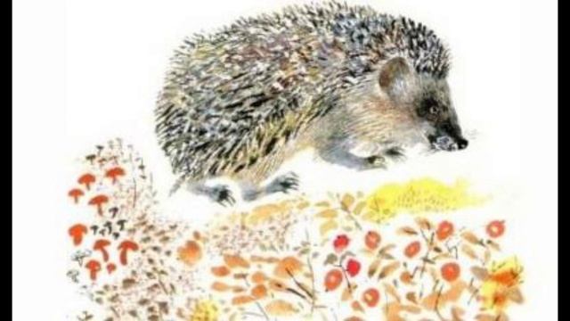 Страшный рассказ.Рассказ Е.Чарушина. смотреть онлайн