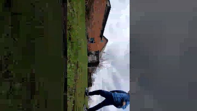 жизнь кулевчи смотреть онлайн