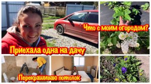 ПРИЕХАЛА ОДНА НА ДАЧУ/ЧТО С МОИМ ОГОРОДОМ ПОСЛЕ ЗАМОРОЗКОВ ?/РЕМОНТ В ДОМЕ/ПЕРЕКРАШИВАЮ ПОТОЛОК