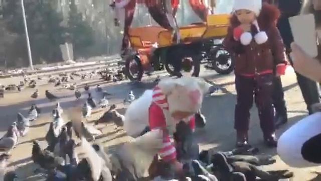 Камила поймала голубя смотреть онлайн