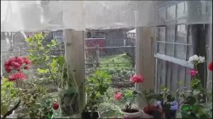 Архив. Недельный влог. Сажаю чеснок. Дождь сменяется солнцем 🌞 тёплый октябрь