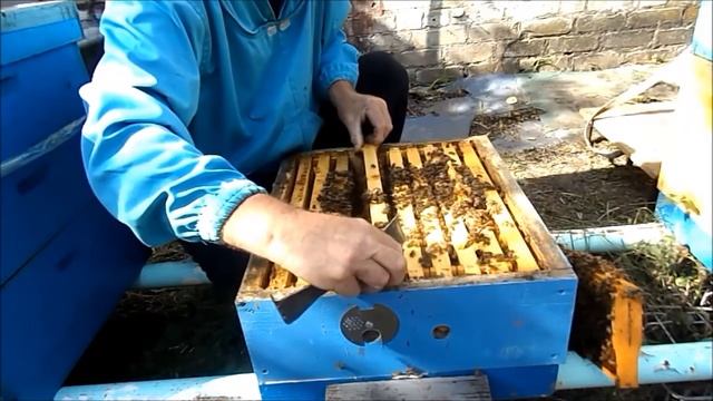 Формирование смотреть онлайн