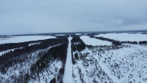 Устье Солзы. Февраль 2022