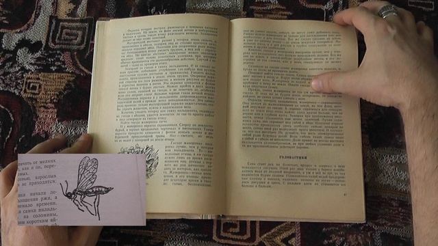 "Юным любителям природы" (Н.Н.Плавильщиков, 1975)