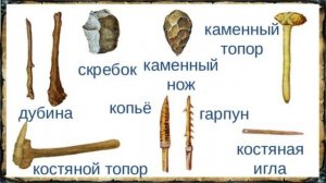 Первобытные собиратели и охотники  Глава 2. (всеобщая история)   § 1   Древнейшие люди . 5 класс