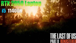 The Last of Us Part 2 - RTX 2050 Laptop - 1080p, DLSS, FSR Frame Generation