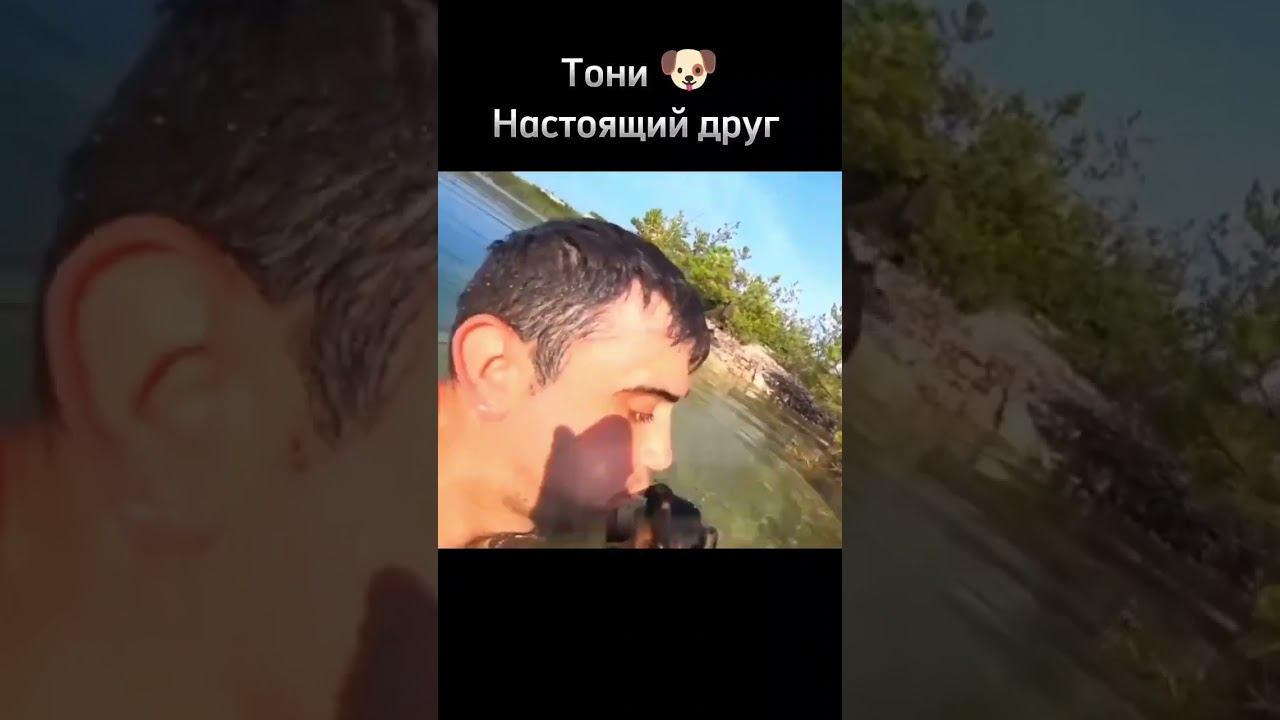 тони настоящий друг #добрыедела #собака #вода