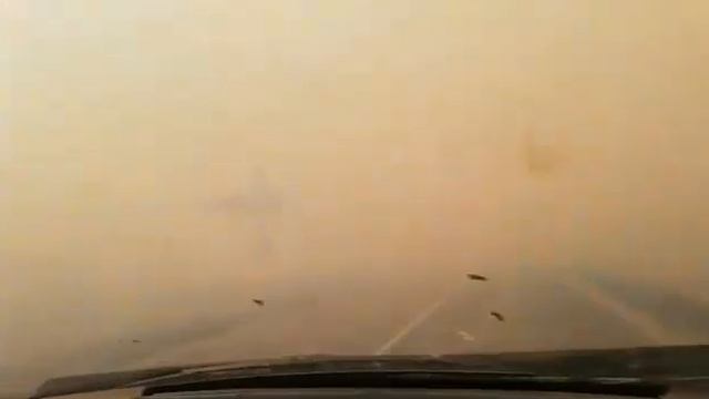 ЧП Западно - Казахстанская область сильный пожар из за жары Шок ужас!!! смотреть онлайн