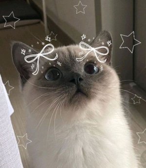 Микроскоп(^o^)