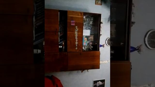 Как научиться делать перекидку в перёд смотреть онлайн