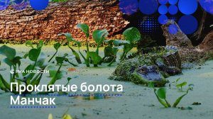 Проклятые болота Манчак