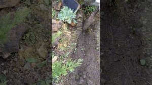 ПОТРЯСАЮЩИЙ БОРДЮР ИЗ КАМНЯ для естественного сада