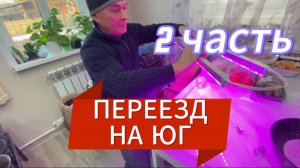497ч🏡03.03.25-Продолжение//Занимаюсь рассадой//Еще один свитер мужу//Лампы не те