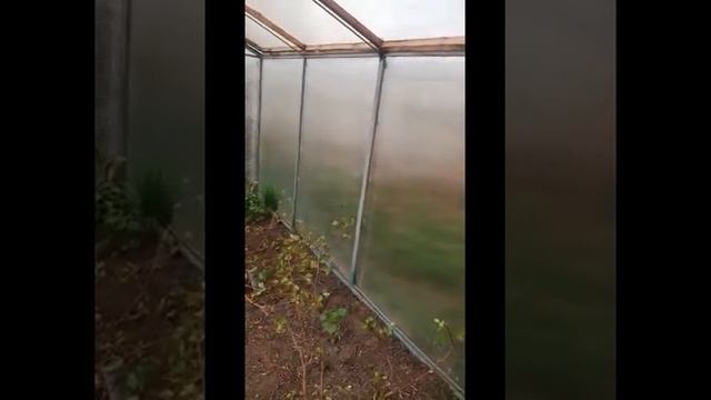Клуб "БАЙКАЛ". Природное экологичное земледелие