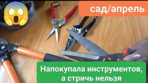 Сад/апрель 
Напокупала инструмента, а стричь нельзя