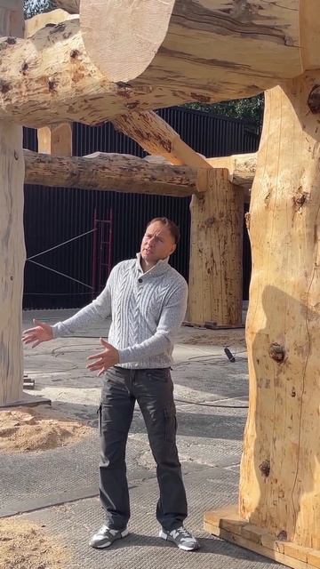 БРЕВНО 1 МЕТР в диаметре! 100